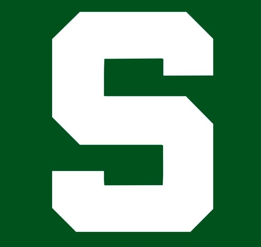 Логотип s3. Mi logo.