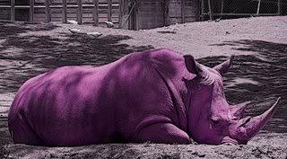 Purple Rhino Logo - lucid dream : The Purple Rhino Trump Card