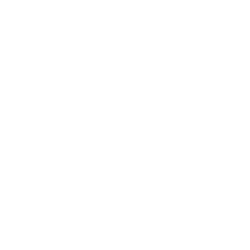 Black and White Hornets Logo - Technology | Services | Dimensional Innovations
