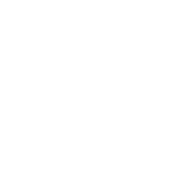 Black and White Hornets Logo - Technology