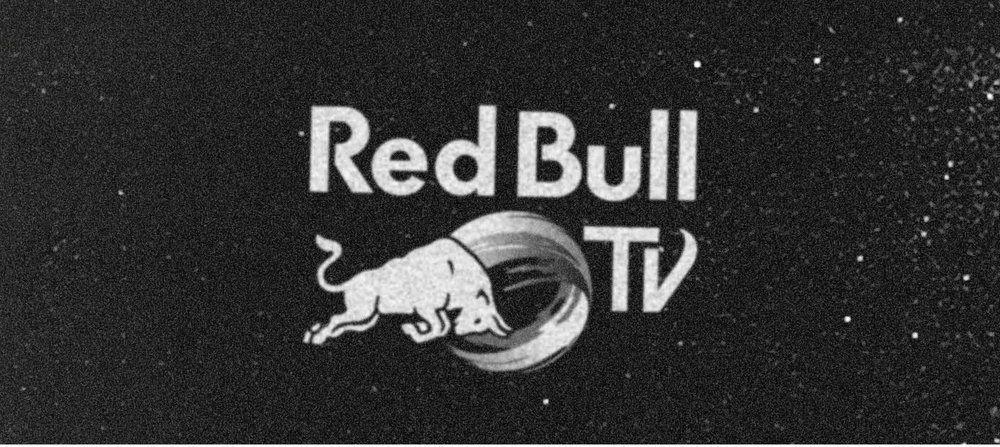 Gray and Red Bulls Logo - RED BULL