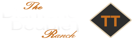 Double T Logo - SLN new Logo. Diamond Double T Ranch