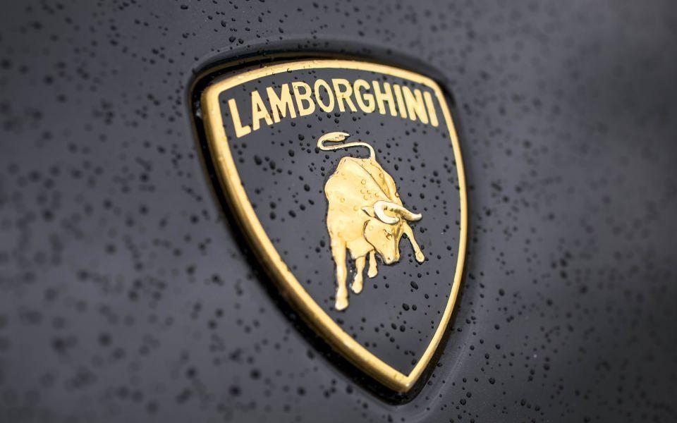 Gold Bull Logo - Download Lamborghini Gold Bull Logo Wallpaper - GetWalls.io