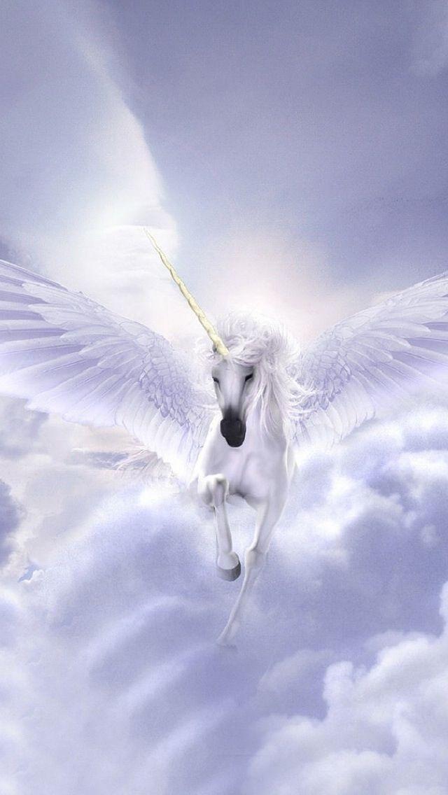 Flyong White Horse Logo - white flying horse | Flying white horse iPhone 5 wallpapers ...