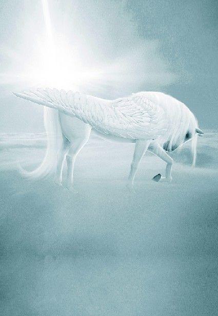 Flyong White Horse Logo - 300CM*200CM(10ft*6.5f ) Flying white Horse Sky sunlight fantasy ...