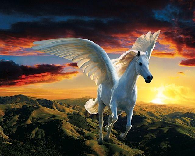 Flyong White Horse Logo - this is the flying white horse i pretended to be when i was a happy ...