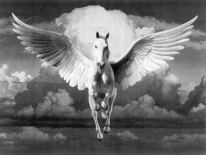 Flyong White Horse Logo - 151 images about movies on We Heart It | See more about movie ...