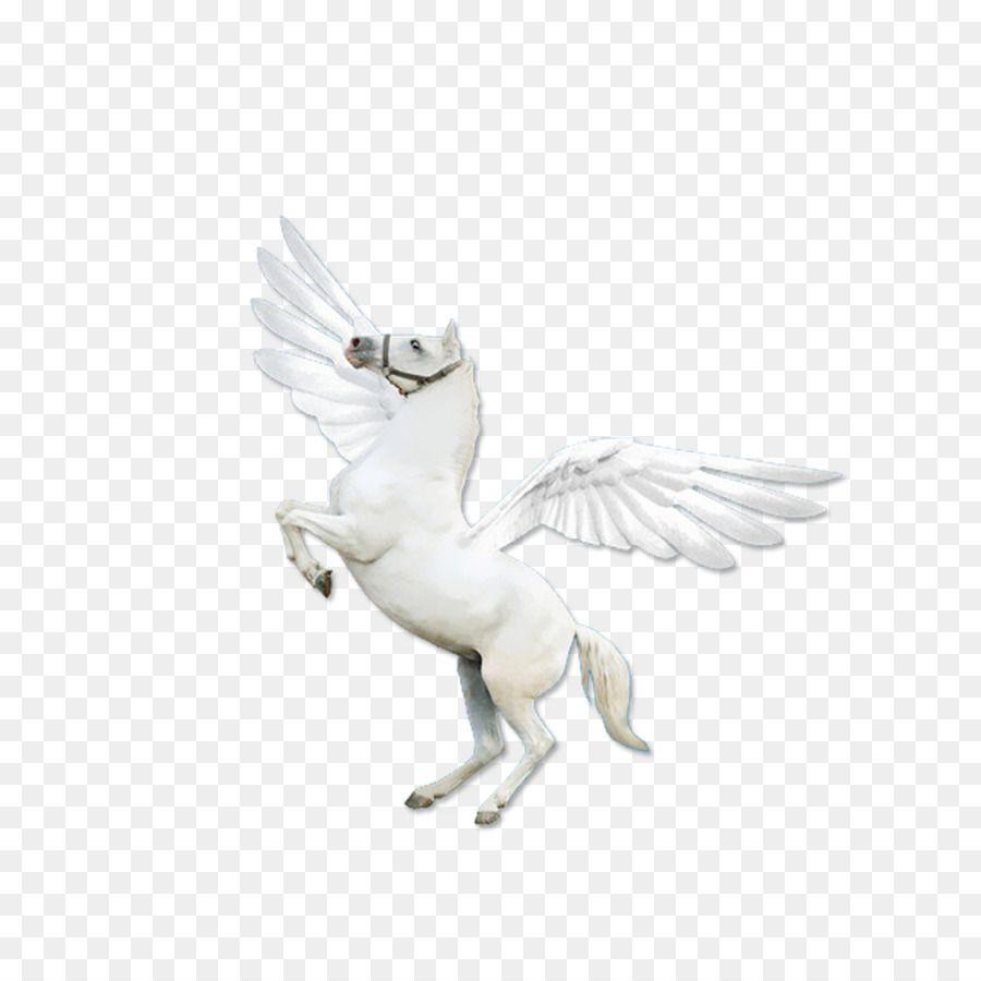 Flyong White Horse Logo - American Quarter Horse Mustang Andalusian horse Arabian horse ...