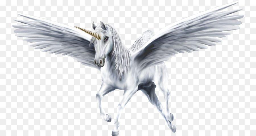 Flyong White Horse Logo - Flying horses Pegasus Winged unicorn - horse png download - 817*480 ...