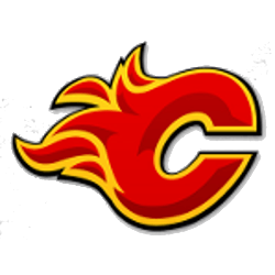 Calgary Flames Logo - Calgary Flames Concept Logo | Sports Logo History