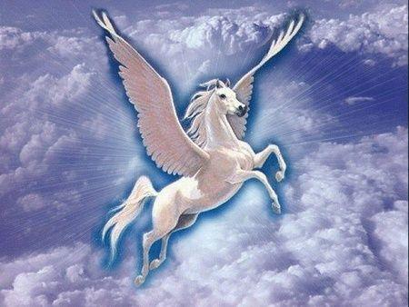 Flyong White Horse Logo - MARWARI MADNESS IN RAJASTHAN - Margo Polo
