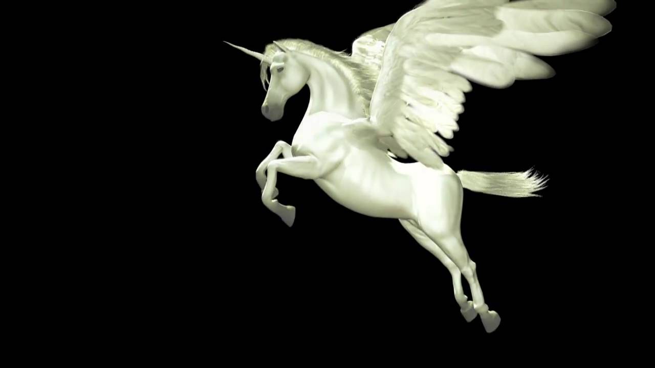 Flyong White Horse Logo - Flying Unicorn Animated Logo