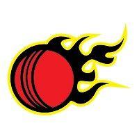 Cricket Ball Logo - cricket-ball-flames - T-shirt Printing Solutions