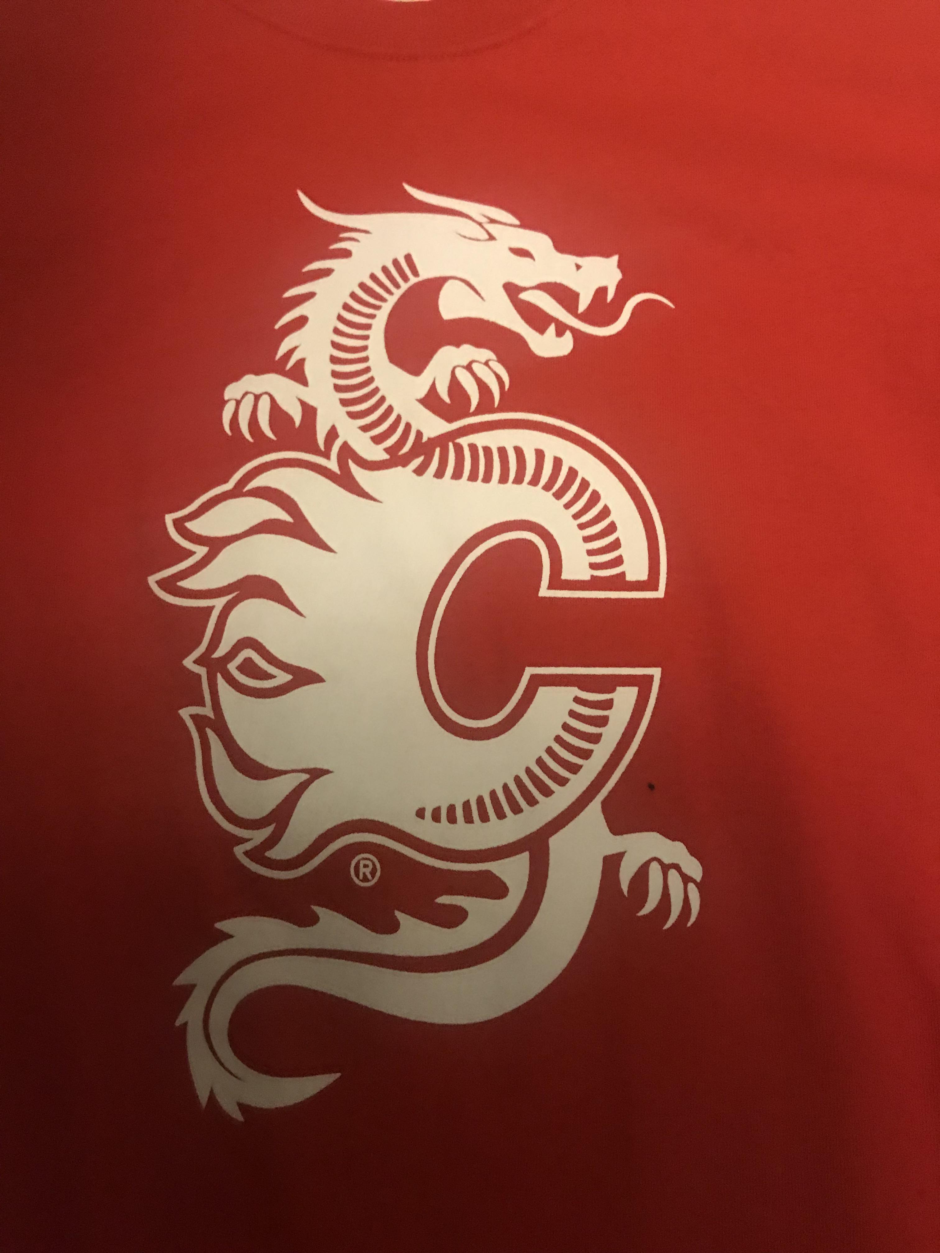 Calgary Flames Logo - Calgary Flames China Shirt/Logo : hockey