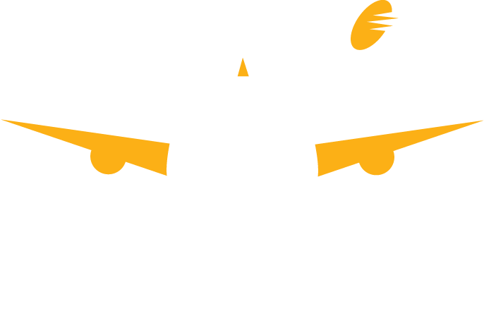Jet Airways Logo - 25 Years of JetAirways