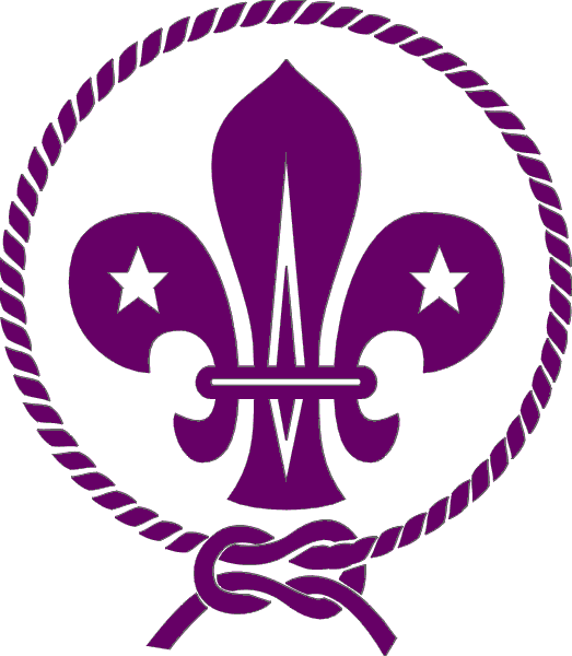 International Scout Logo - What is Scouting? – Nottingham SSAGO (SNoGS)