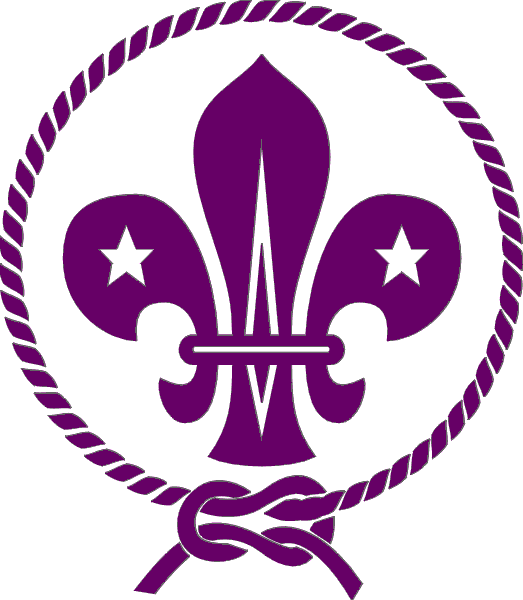 International Scout Logo - What is Scouting?