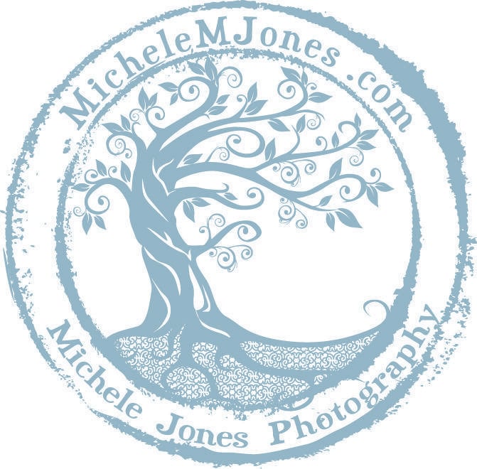 Blue Tree Circle Logo - Kerian's Art and Graphic Design - Logos and Branding