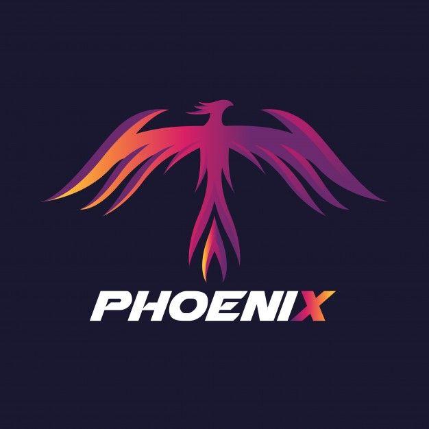 Maroon Bird Logo - Phoenix logo, eagle and bird logo symbol. vector logo template