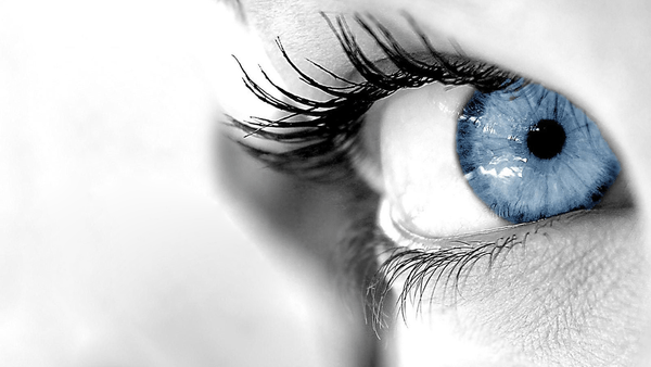 Blue Eye Logo - Blueeye Hd Logo | Free Images at Clker.com - vector clip art online ...