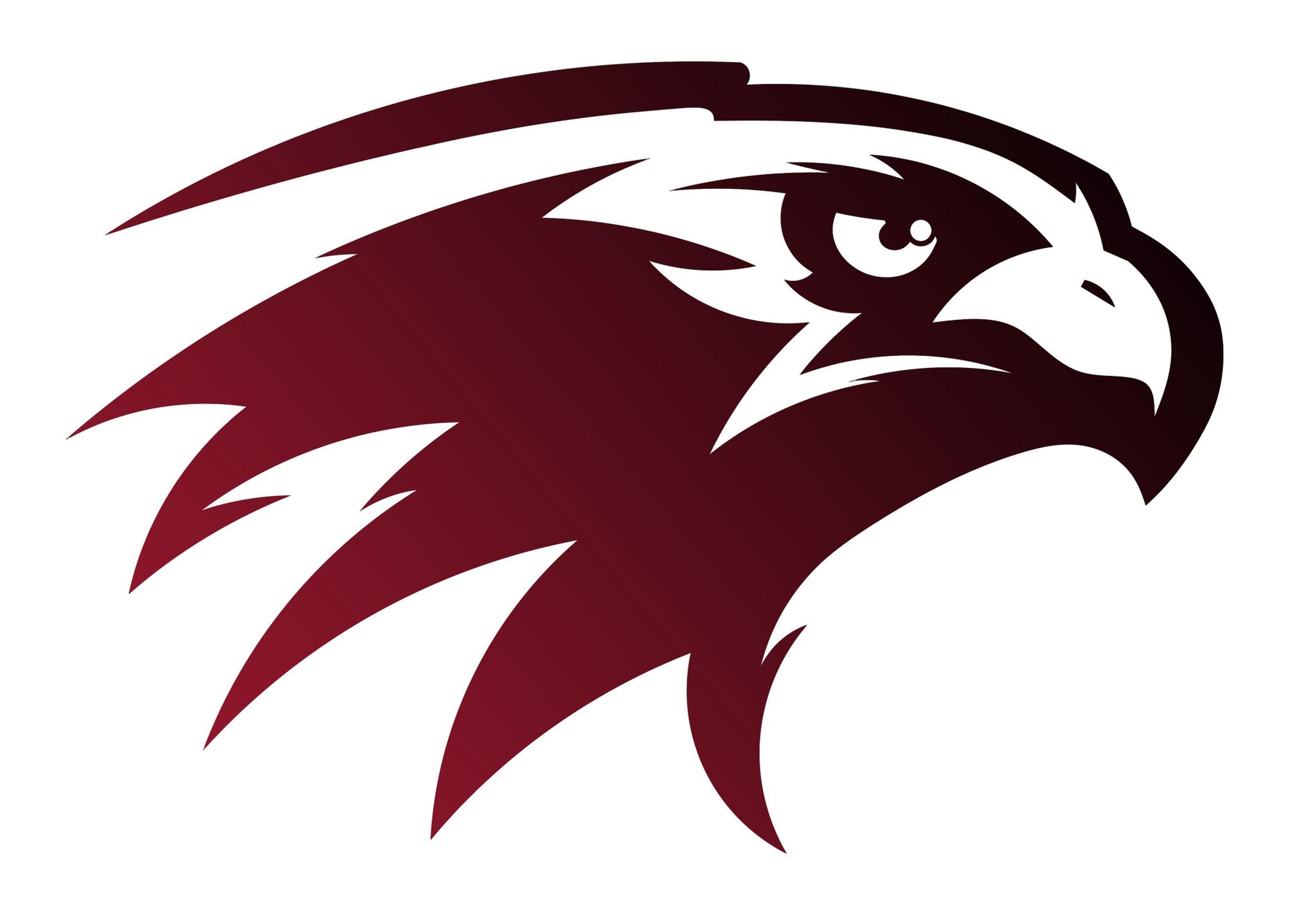 Maroon Bird Logo - Falcons upend Jaguars