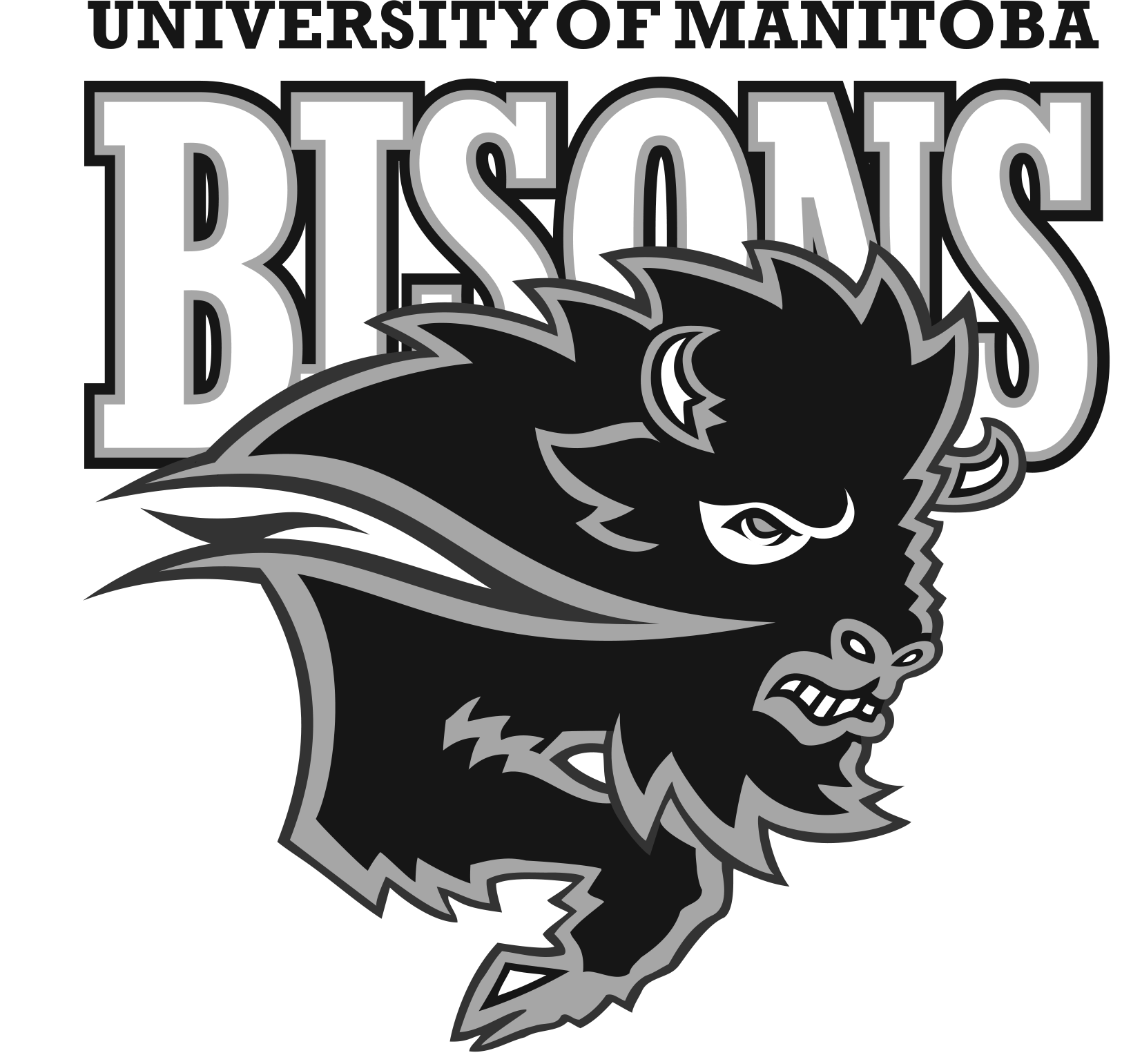 Go Bison Logo - University of Manitoba Athletics - Official Athletics Website