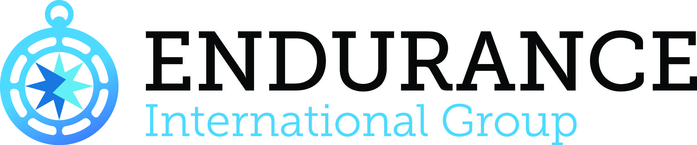 Endurance Logo - Logos | Endurance International Group