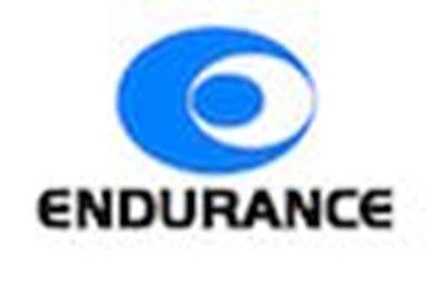 Endurance Logo - Endurance Technologies