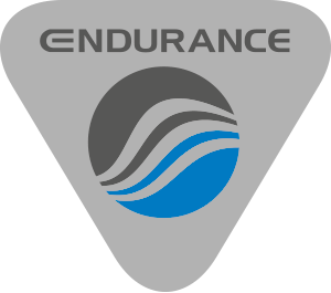 Endurance Logo - Endurance Logo