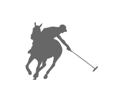Blue Polo Horse Logo - Kihikihi Polo