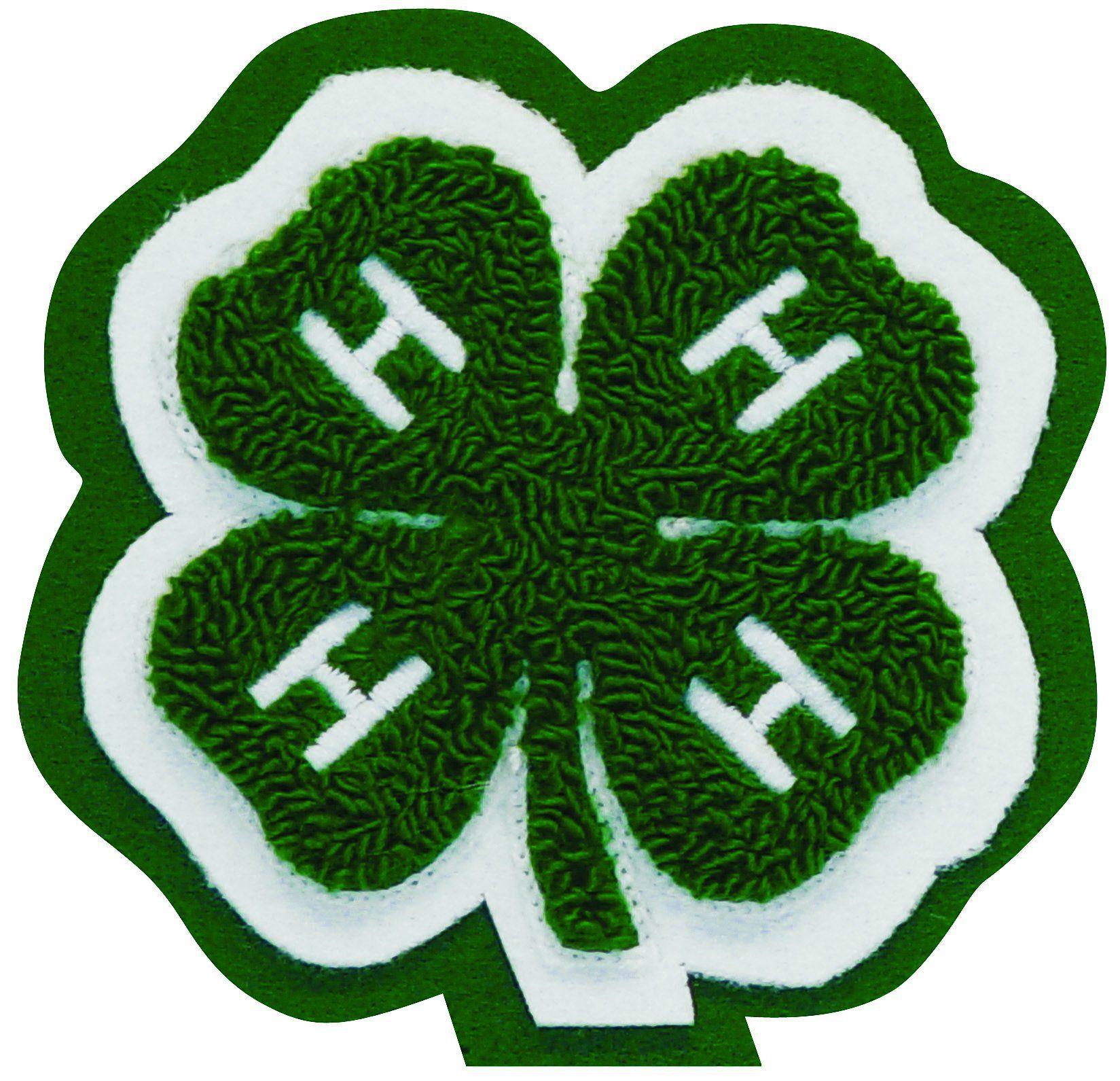 Small Green H Logo - 4-H Varsity Letter - Small - Shop 4-H
