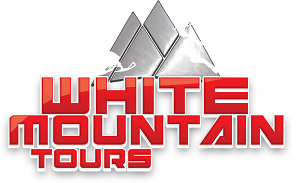 Red and Whit Mountain Logo - White Mountain Snowmobile Tours, Inc. | Buena Vista Chamber of ...