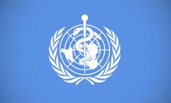 World Organization Logo - logos from the United Nations. SpellBrand®