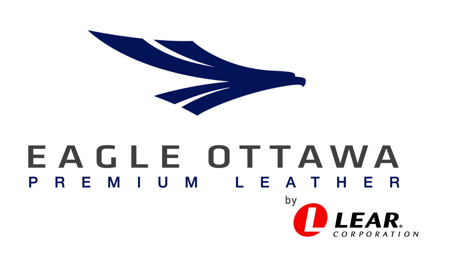 Ottawa Logo - EAGLE OTTAWA LOGO FINAL - Hope Against Trafficking - Love Transforms