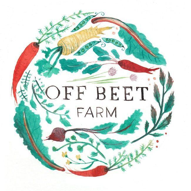 Farm Circle Logo - Off Beat Farms Burwash logo work. Illustration