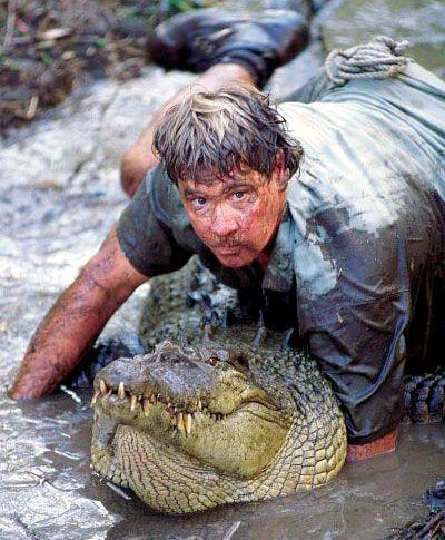 Crocodile Hunter Crocs Rule Logo - Crocs Rule!!!!!!!!!!!!!!!!!!!!!!!!!!!!!!!!!!! | Wildlife Warrior ...