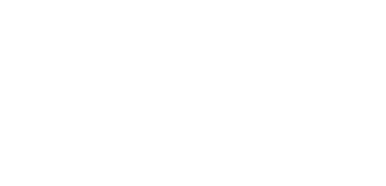Nike SB Logo - Nike SB Snow Goggles – Jeffrey B. Park