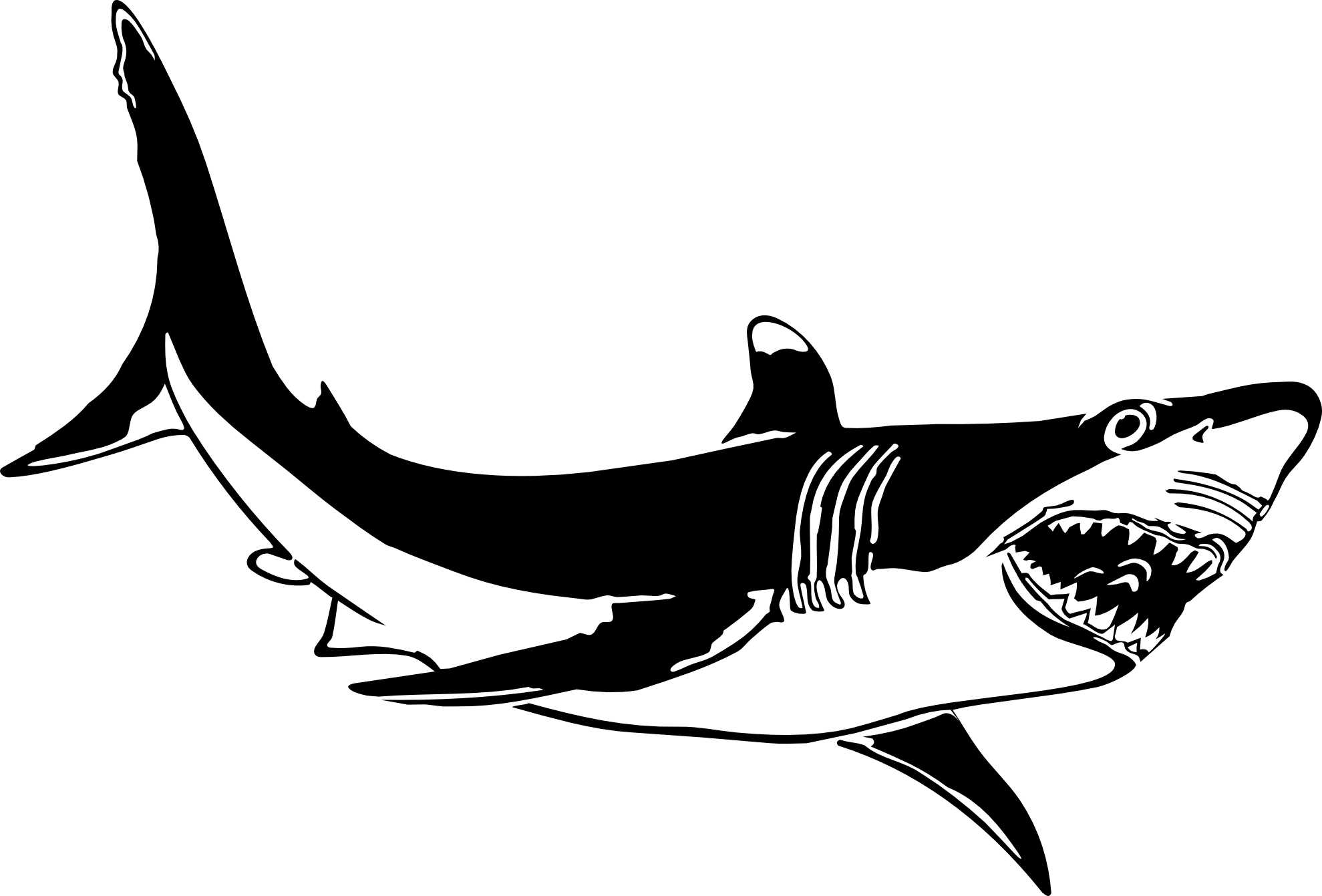 Black and White Shark Logo - Free Black And White Shark Pictures, Download Free Clip Art, Free ...