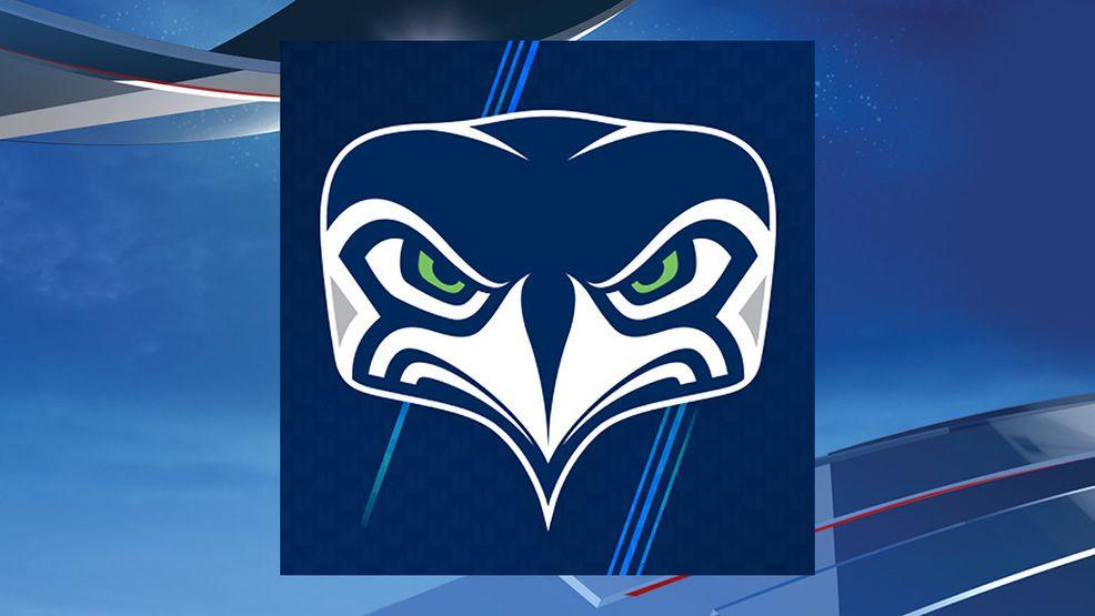 Alternative Logo - Seahawks' new alternative logo gets mixed reaction from sports fans ...