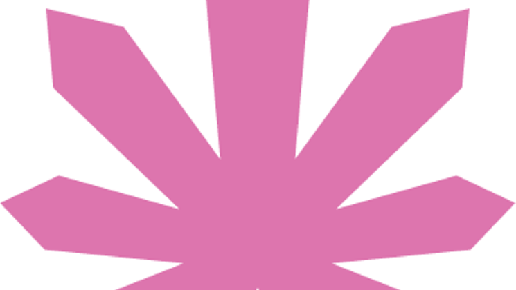 Pink Colorado Logo - Pink House Colorado Springs in Colorado Springs, CO | Westword