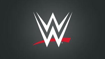 Small WWE Logo - World Wrestling Entertainment Inc