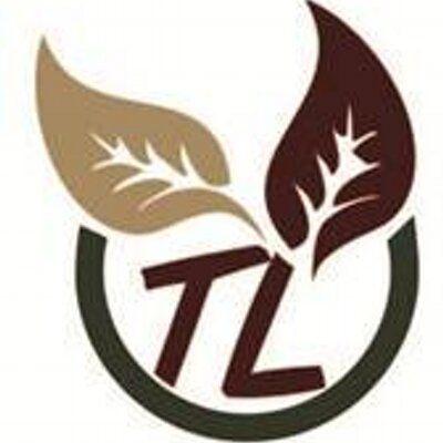 Twin Leaf Logo - TWIN LEAF