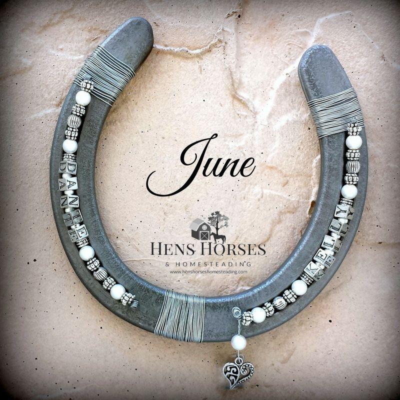 Two Horseshoe Logo - Personalized Birthstone Horseshoe | June | Pinterest | Horseshoe ...
