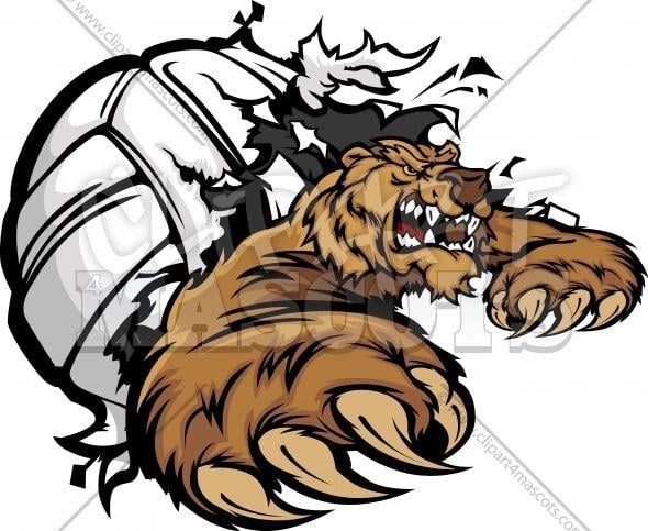 Tearing Logo - Bear Volleyball Graphic Vector Logo