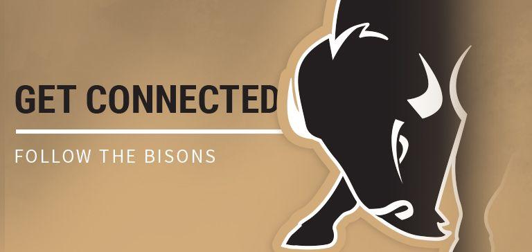 Harding Bison Logo - Harding University Athletics - Official Athletics Website