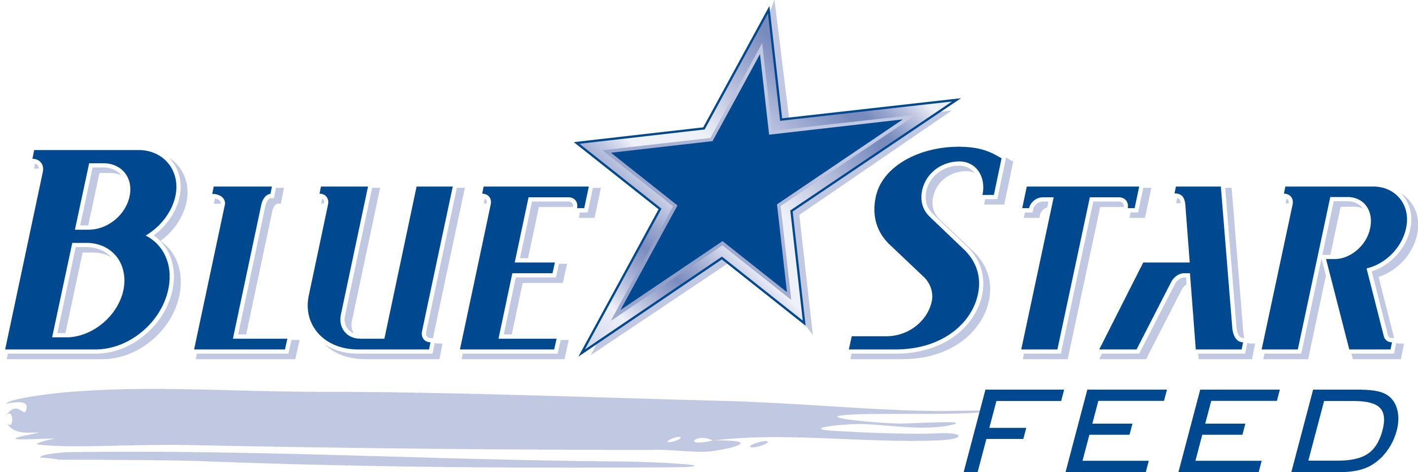 Star Blue Logo - Blue star Logos