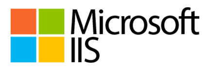 Microsoft Services Logo - Managed Microsoft IIS - Hybrid Cloud and IT Solutions