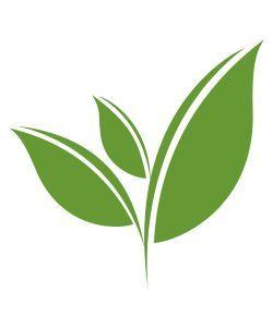 Green Tea Leaf Logo - tealeaf | Teas | Tea, Leaves, Blue company
