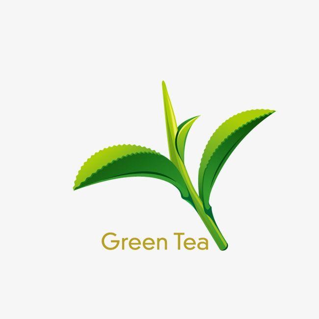 Green Tea Leaf Logo - Green Tea, Leaf, Natural Spa Supplies PNG and Vector for Free Download