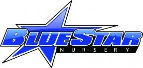 Blue Star Logo - BLUE STAR NURSERY